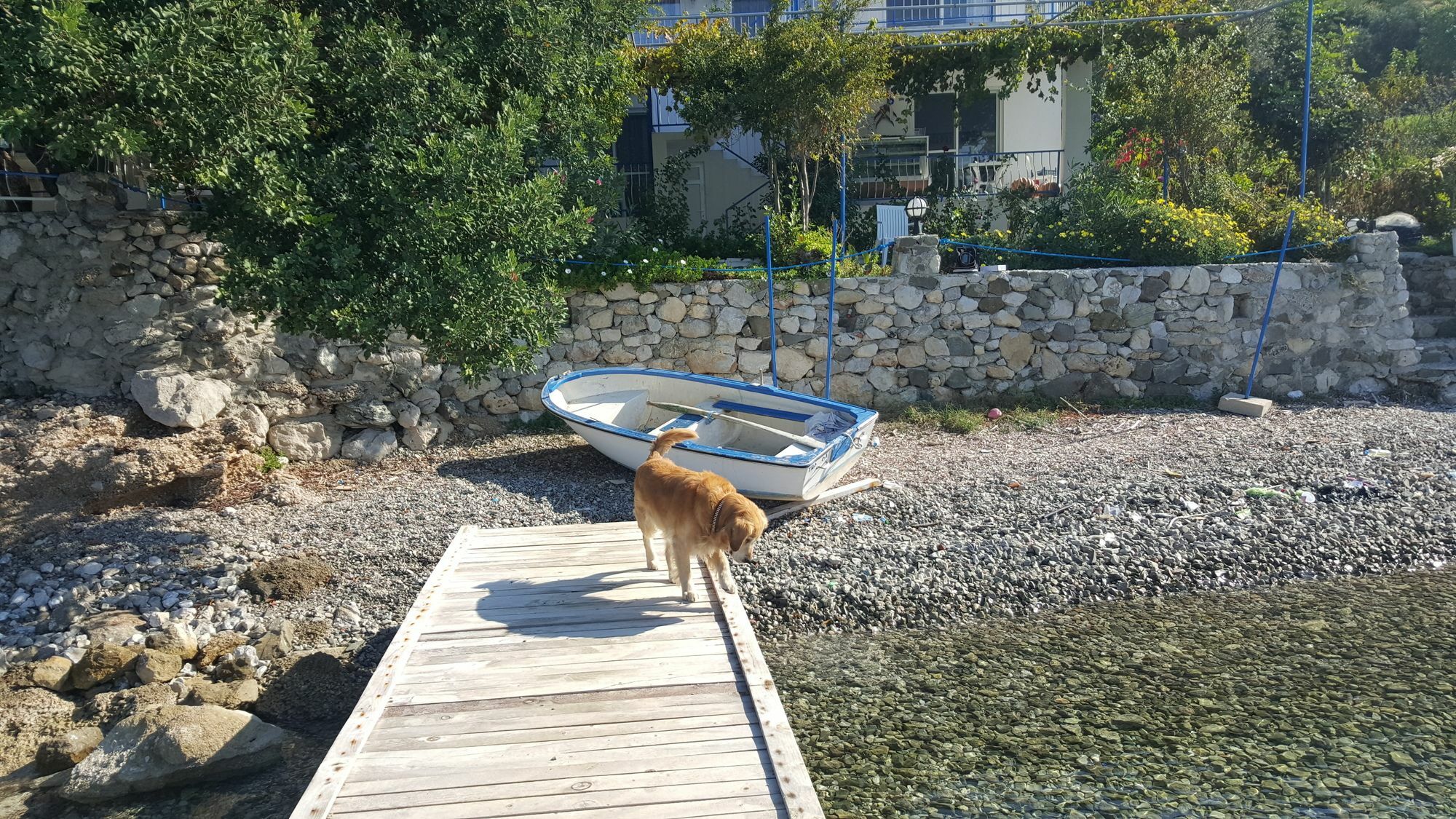 Mavi Akvaryum Otel Selimiye  Exterior foto